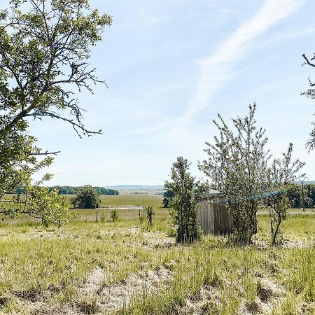 Le Val Suzenay Konuk evi Vendeuvre-sur-Barse Dış mekan fotoğraf