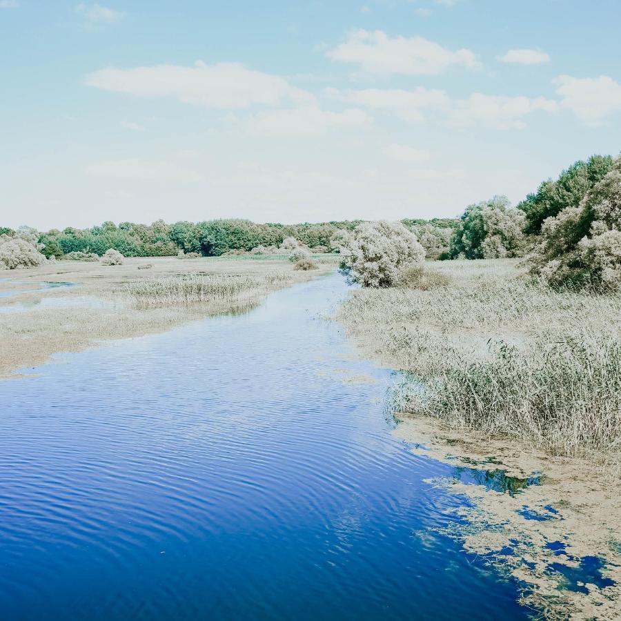 Le Val Suzenay Konuk evi Vendeuvre-sur-Barse Dış mekan fotoğraf